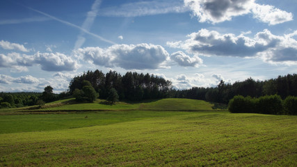 Summer landscape