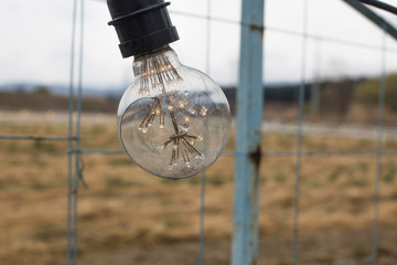 Obraz premium vintage old light bulb outside