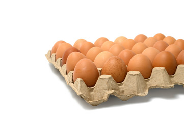 Eggs on paper egg tray isolated on white background