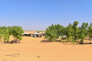 Naklejka premium Cloth huts in the African desert, dunes and vegetation