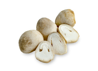 Straw mushroom isolated on white background