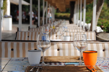 The Wonderful World of Nature 