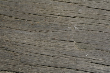 Background texture of tree bark