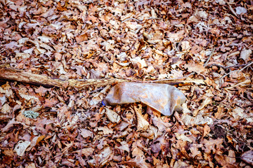 The concept of environmental pollution by human life products. Garbage from domestic waste polluted autumn forest. Dumbrava forest, Sibiu,