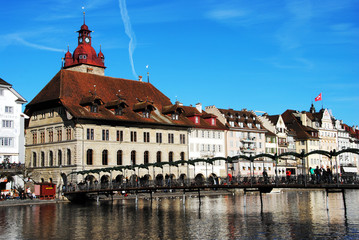 Obraz premium The Wonderful World of Nature and Wildlife