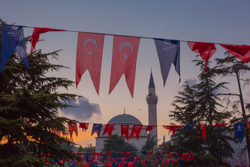 Flags of Turkey and Istanbul metropoly with a mosque in a background in Istanbul, Turkey