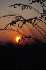 sunset in the mountains