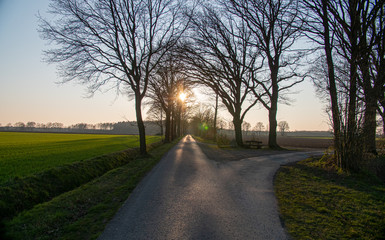 Weg Gabelung Feldweg spaltet sich Allee bei Sonnenuntergang an einer Wiese