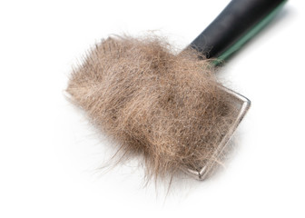 Cat brush with cat hair. Close up. Wire bristle grooming brush. Orange / brown fur stuck to comb....