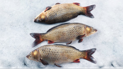 fresh fish on ice