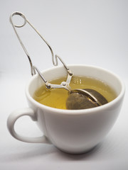 Cup of green tea 