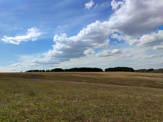 Fototapeta premium big beautiful clouds in the blue sky over a field a forest plantation in the distance