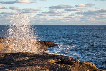 Maine Seacoast