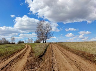 Fototapeta na wymiar a fork in the road near a tree in a village near a field against a blue sky with beautiful clouds