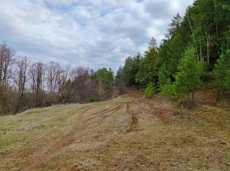 the road passing by the forest against the blue sky before the rain