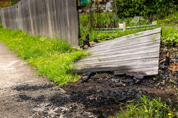 A fence from a meadow in New South Wales, Australia burnt down during the bush fires. Life comes...