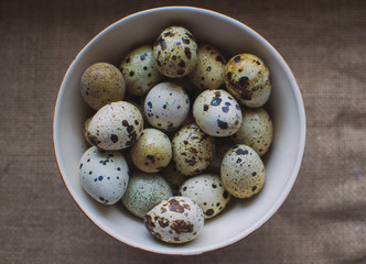 Quail eggs in a ceramic bowl. Top view.