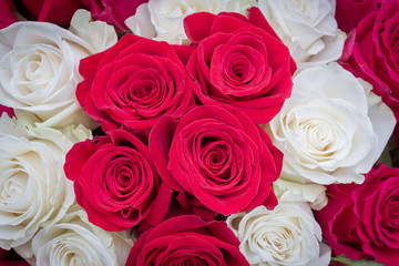 Multi-colored bouquet of red, pink and white roses