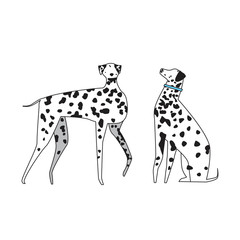 A Dogs Dolmatians isolated on a white background, a Scandinavian vector stock illustration with cute doodle pet or dog for design