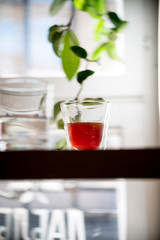 Glass of black filter coffee hario pour over sunlight daylight coffee house leaves cafe