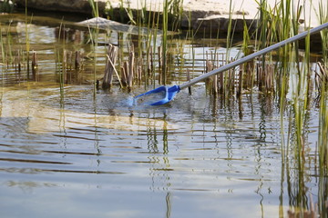 close up workers cleaning lakeshore