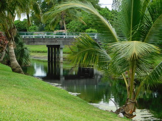 fleet planting, landscape, bridge, orchard, forest, green place, landscape green