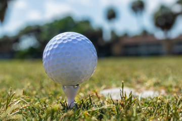 Golf Balls sitting on tee on golf course amid covid-19 pandemic people are still golfing with stay at home orders in place.