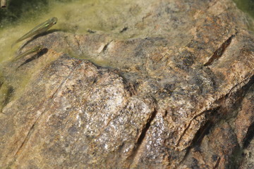 close up water background texture