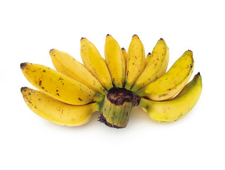 Bunch of ripe mini bananas or baby bananas, bio, small and extra sweet with deep flavor and compact...