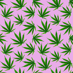 Fototapeta na wymiar Marijuana gouache seamless pattern . Hemp marijuana, hemp leaves on pink background. Green smoke hashish narcotic