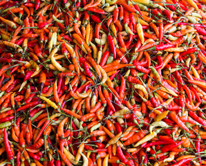 Fototapeta premium Background of hot red peppers