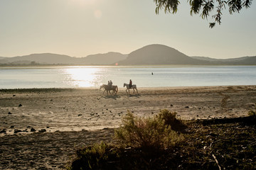 riding horses in laredo  beach