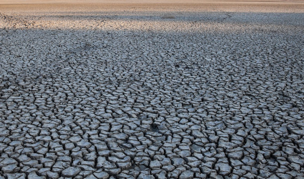 Droughty bilder – Bläddra bland 1,531 stockfoton, vektorer och videor ...