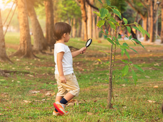 Cute young boy using magnifying glass to check on leaf on the tree. Learning by doing, study nature...