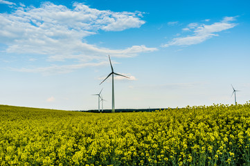 wind turbines in the field