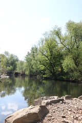 Frühling am Fluss Wupper  am Waldrand