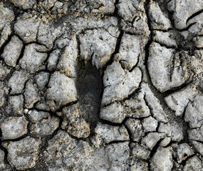Footprint on the cracked dry ground.