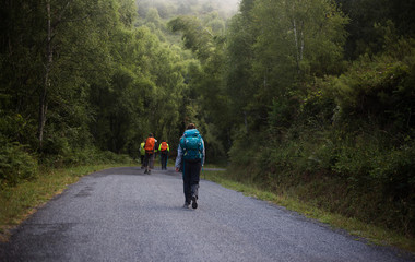 walking in the forest during the "Camino de Santiago"