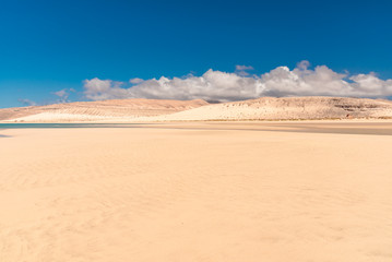 Fototapeta na wymiar paradisiacal tropical beach on the dunes