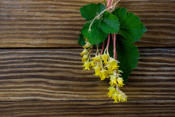 small bunch of yellow flowers on rustic wood