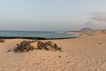 paradisiacal tropical beach on the dunes