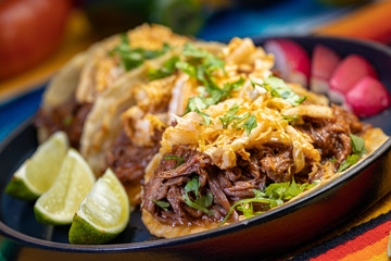 Short Rib Kogi Taco plate