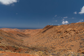 desert landscape in the desert
