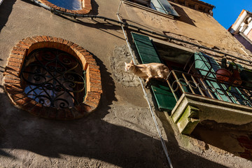  Venice