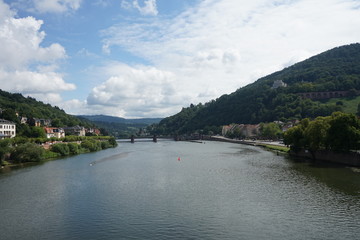 Fototapeta premium Neckar Heidelberg