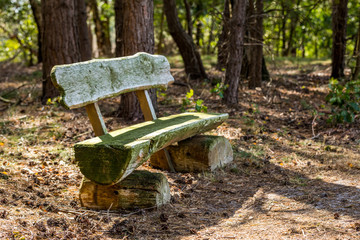 Heidelandschaft der Kirchdorfer Heide, Niedersachsen, Deutschland