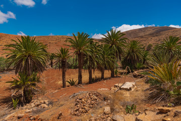 Fototapeta na wymiar houses and villages of Fuerteventura in Spain