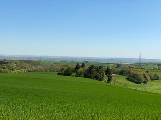 Weite Sicht über über die Eifel bis in den Hunsrück bei Cochem - Feld - Naturparadies - Baum - Natur - Landwirtschaft

