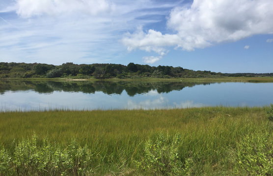 summer landscape with salt marsh pond on Chappaquiddick Martha's Vineyard