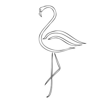 recommend clip art: flamingo silhouette vector illustration, cartoon drawing of flamingo tropical bird, outline illustration